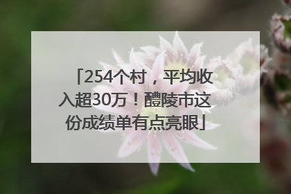 254个村，平均收入超30万！醴陵市这份成绩单有点亮眼
