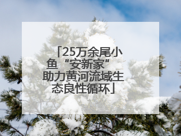 25万余尾小鱼“安新家” 助力黄河流域生态良性循环