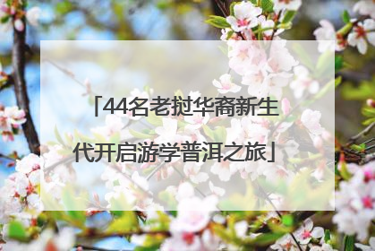 44名老挝华裔新生代开启游学普洱之旅