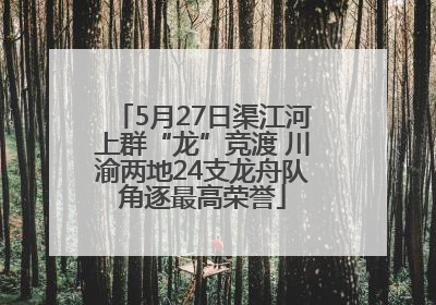 5月27日渠江河上群“龙”竞渡 川渝两地24支龙舟队角逐最高荣誉