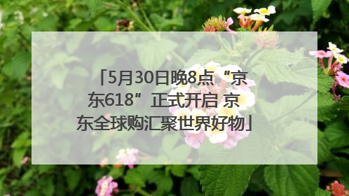 5月30日晚8点“京东618”正式开启 京东全球购汇聚世界好物