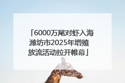 6000万尾对虾入海 潍坊市2025年增殖放流活动拉开帷幕