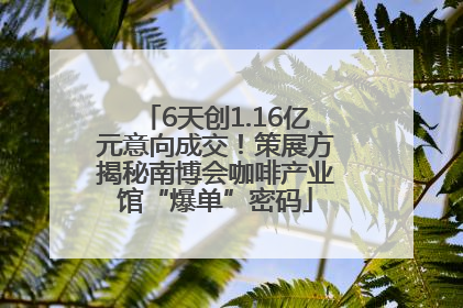 6天创1.16亿元意向成交！策展方揭秘南博会咖啡产业馆“爆单”密码