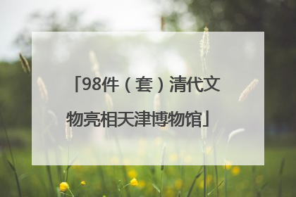 98件（套）清代文物亮相天津博物馆