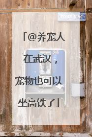 @养宠人 在武汉，宠物也可以坐高铁了
