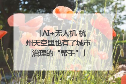 AI+无人机 杭州天空里也有了城市治理的“帮手”