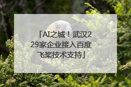 AI之城！武汉229家企业接入百度飞桨技术支持
