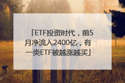 ETF投资时代，前5月净流入2400亿，有一类ETF被越涨越买