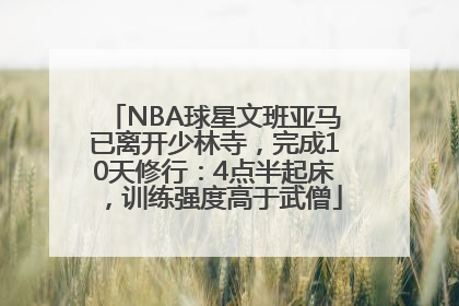 NBA球星文班亚马已离开少林寺，完成10天修行：4点半起床，训练强度高于武僧
